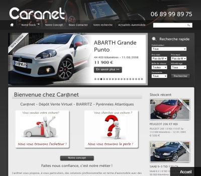 caranet1